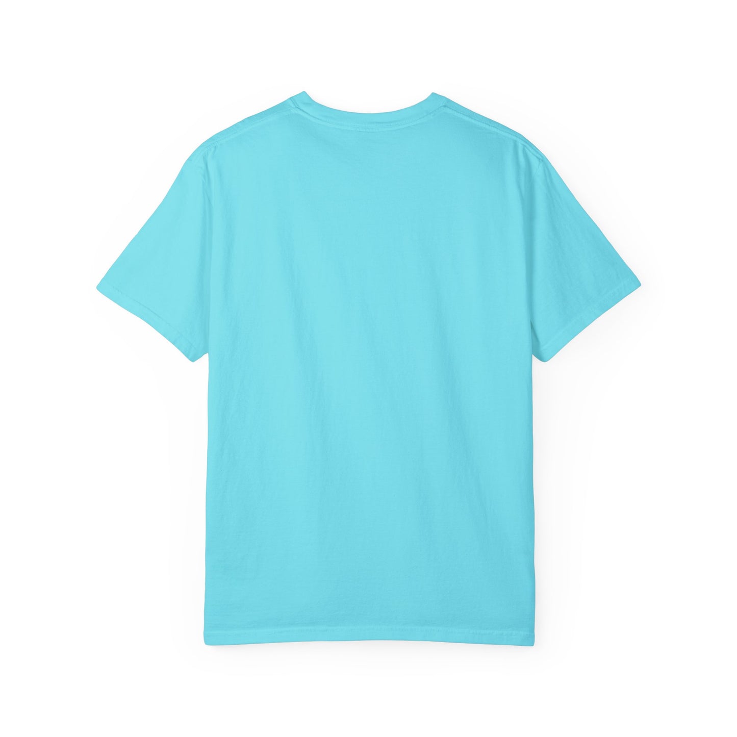 York Rite University, Unisex Garment-Dyed T-shirt