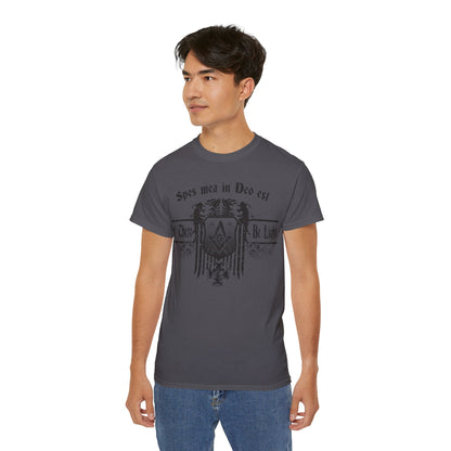 Let There Be Light, Blk&Gry Ultra Cotton Tee